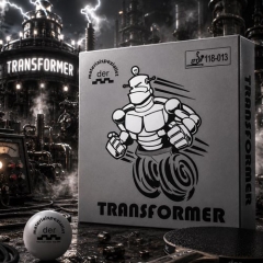 TRANSFORMER